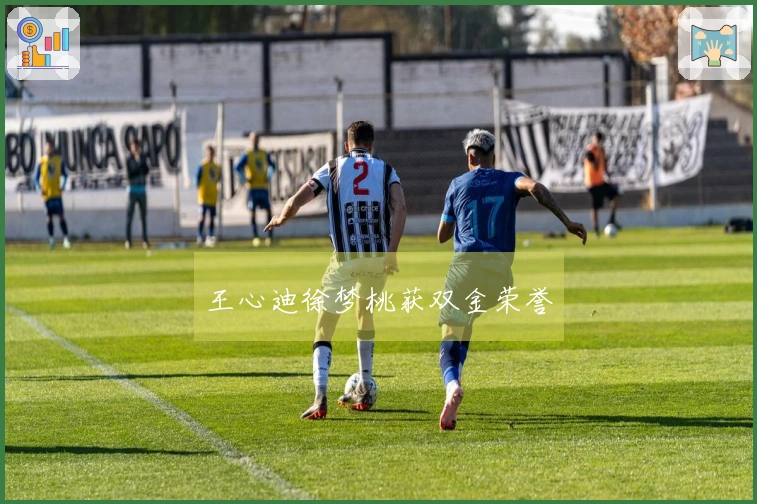 王心迪徐梦桃获双金荣誉