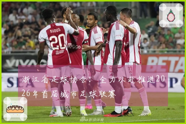 浙江省足球协会：全力以赴推进2026年首届城市足球联赛